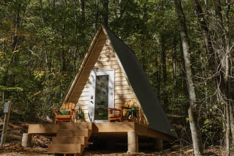 Field Trip Glamping Travelers Rest - Photo 3