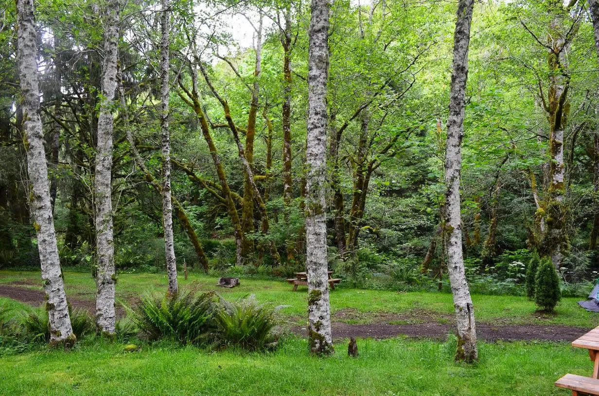 Camper Cove RV Park And Campground - Hipcamp in Cloverdale, Oregon