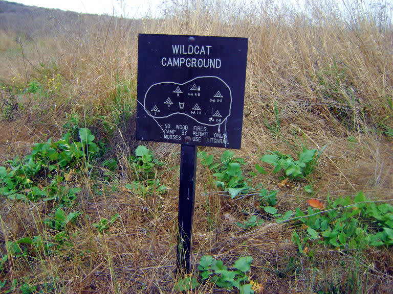 Point Reyes Camping Map Wildcat Campground, Point Reyes, Ca: 17 Hipcamper Reviews And 44 Photos