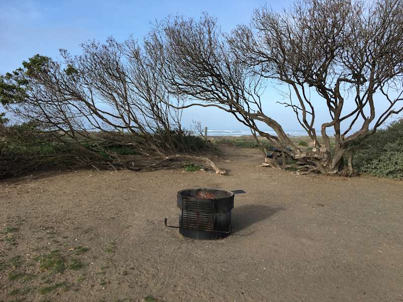 Morro Strand State Beach Campground Morro Strand Ca 4 Hipcamper Reviews And 15 Photos