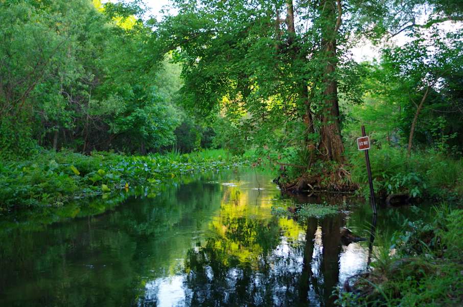 Wekiwa Springs Campground Wekiwa Springs Fl 2 Hipcamper Reviews And 41 Photos