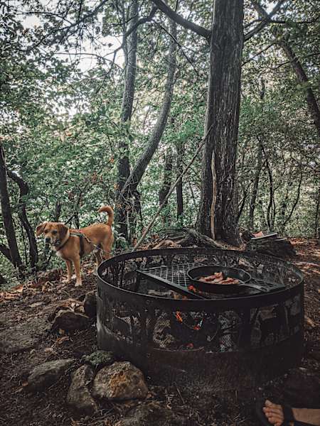 Best Camping In And Near Great River Bluffs State Park
