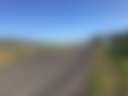 Windowrie Winery - Photo 2
