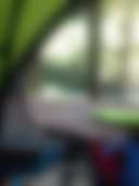 Ohanapecosh Group Campground, Mount Rainier National Park - Main photo