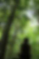 Sunflower Retreat - Photo 3