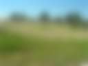 Grangeville Farm - Photo 2