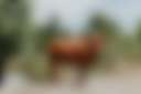 Nature Lovers Paradise - Photo 2