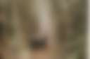 The Hay House Farm