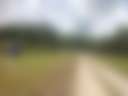 White Dog Farm camping - Photo 2