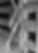 Cades Cove Group Campground, Great Smoky Mountains National Park - Main photo