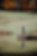 The pond was a great place for reflection. *pun intended*