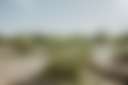 Acres upon acres of vacant land right next to the RV park where you can explore with your doggos!