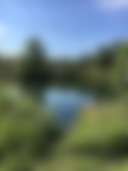 Songdog Meadows