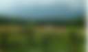 Scenic Turtle Ridge