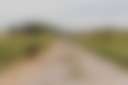 Denver Downs Farm Campsites