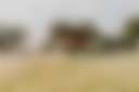Denver Downs Farm Campsites - Photo 2