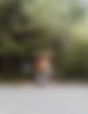 sol duc rainforest retreat - Photo 2