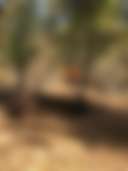Avian Acres - Photo 3