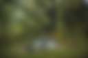 Persimmon Grove Retreat & Camp