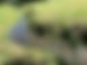 Riverside Farm - Photo 2