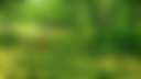 Rock N Ranch Events & Campground