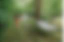 Kinderhook Hollow Ponds/Brook