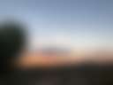 Joo L’s Joshua Tree