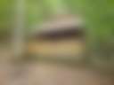 Wilderness Adventure - Photo 3
