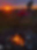 Magnificent View Blueberry Hill - Photo 2