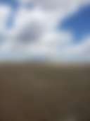 Canelo Hills