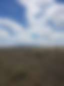 Canelo Hills - Photo 2