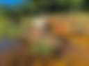 Clearview - Photo 3