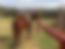 Primitive Farm/Ranch Camping