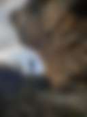 Redgate Farmstay - Photo 2