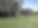 Peregian Beach - pristine acres - Photo 3
