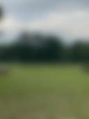 The Retreat @ Borah Farm - Photo 3