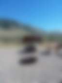 Salmon, Id. Remain Calm Area - Main photo