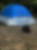 Shaded acres - Photo 2