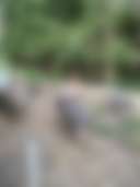 Hymas Family Farm Stay