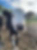 Gordon’s Farm Stay - Photo 2