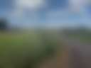 24 acres@ Horse Farm retreat center