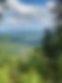 Sasquatch Farm - Photo 2