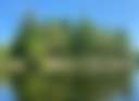 Sparrow Lake Camp