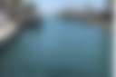 The Ocean awaits.....Swim Fish Dive