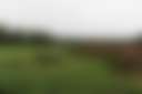 Feel Good Farm