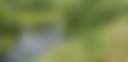 Black Willow Pond - Photo 2