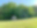 Secluded Hidden Gem in Leelanau CO - Main photo