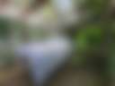 Quentins Treehouse - Photo 3