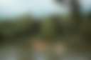 Lost Hill Lake Glamping Resort - Photo 3