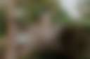 Cambia Community - Photo 2